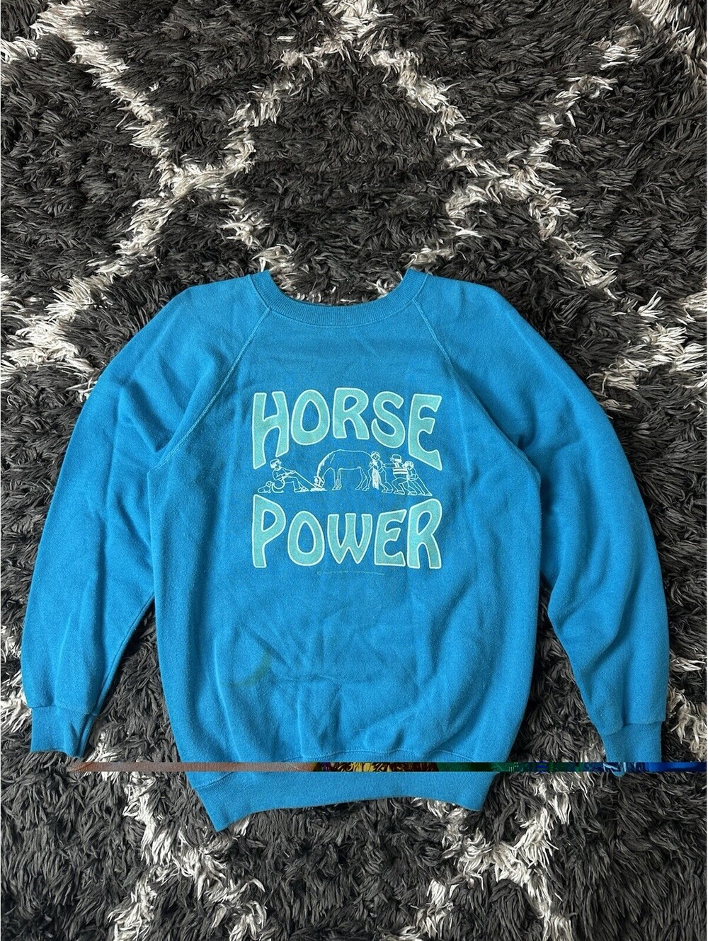 Vintage 80s Hanes Horse Power Sweatshirt Blue Raglan USA Made Medium